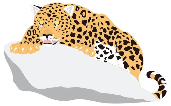 Leopard Sledovat Zvířecí Vektor Ilustrace Transparentní Pozadí — Stockový vektor