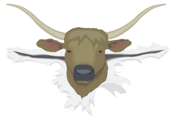 Longhorn Kafası Hayvan Vektör Illüstrasyonu Şeffaf Arkaplan — Stok Vektör