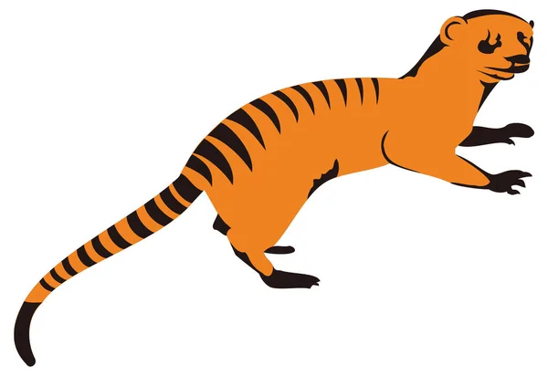 Mongoose Animal Vetor Ilustração Transparente Fundo — Vetor de Stock