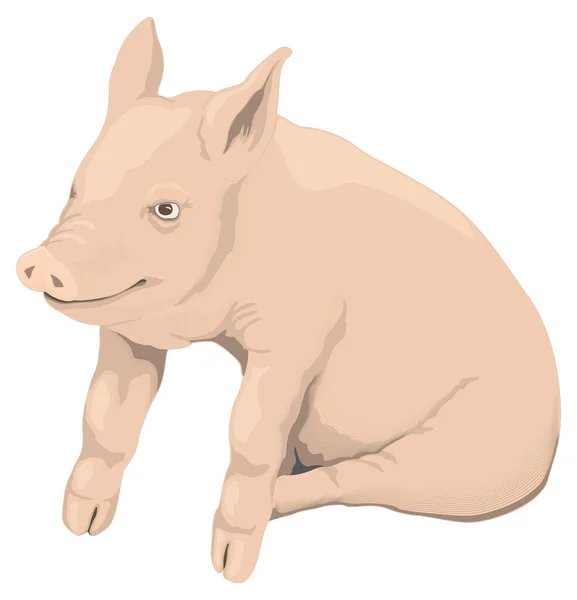 Pig Piglet Sit Animal Vector Illustration Transparent Background — Stock Vector