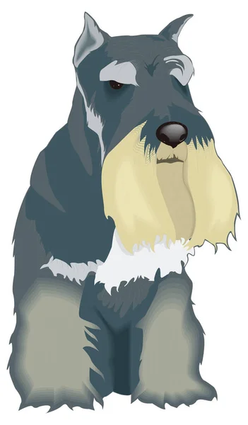 Schottischer Hund Tier Vektor Illustration Transparenter Hintergrund — Stockvektor