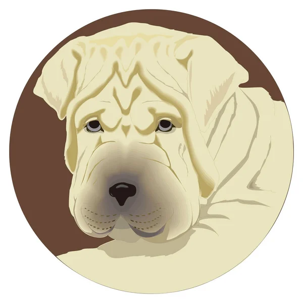 Shar Pei Huvud Ansikte Djur Vektor Illustration Transparent Bakgrund — Stock vektor