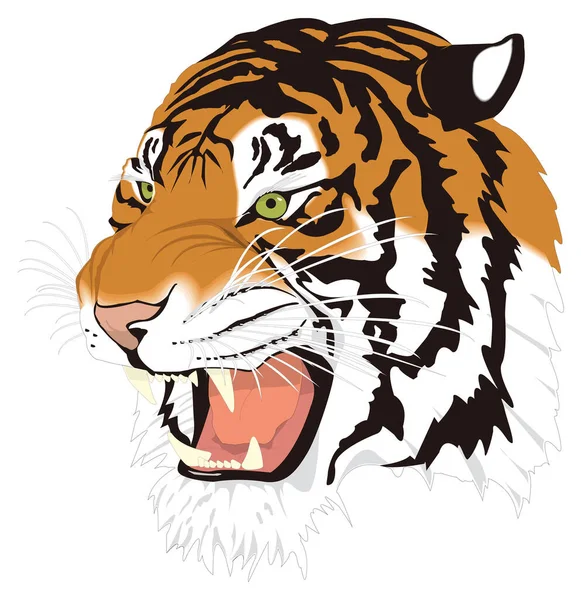 Тигр Голова Обличчя Тварин Векторна Ілюстрація Прозорого Фону — стоковий вектор