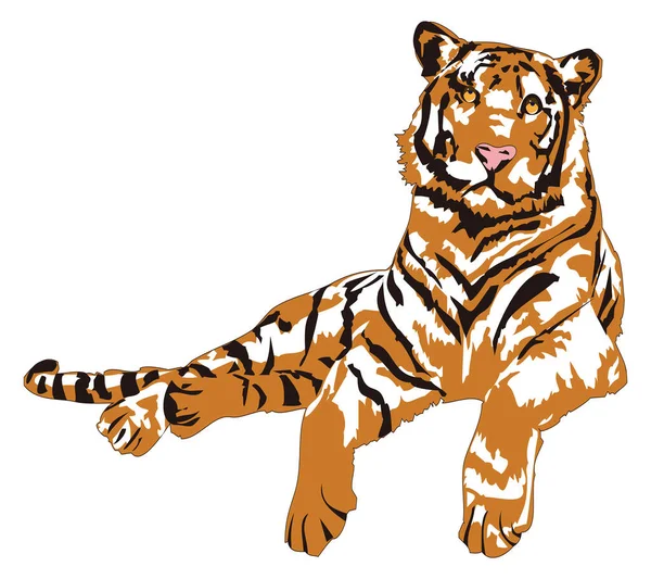 Tygr Ležel Zvíře Vektor Ilustrace Transparentní Pozadí — Stockový vektor