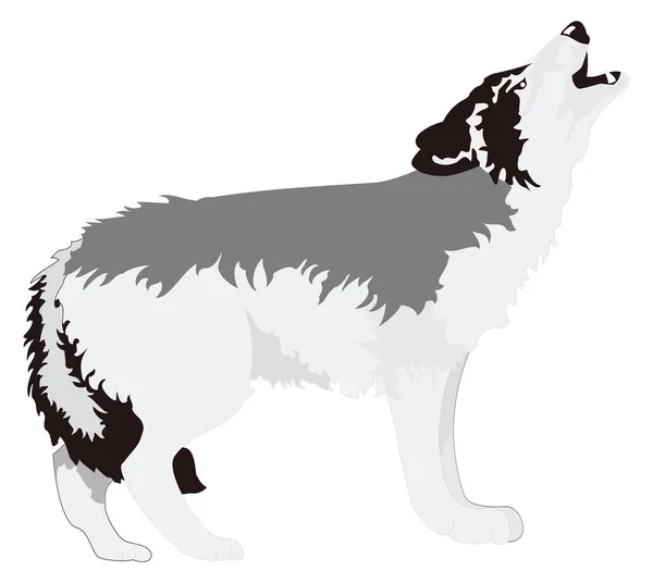 Wolf Blaffen Dier Vector Illustratie Transparante Achtergrond — Stockvector