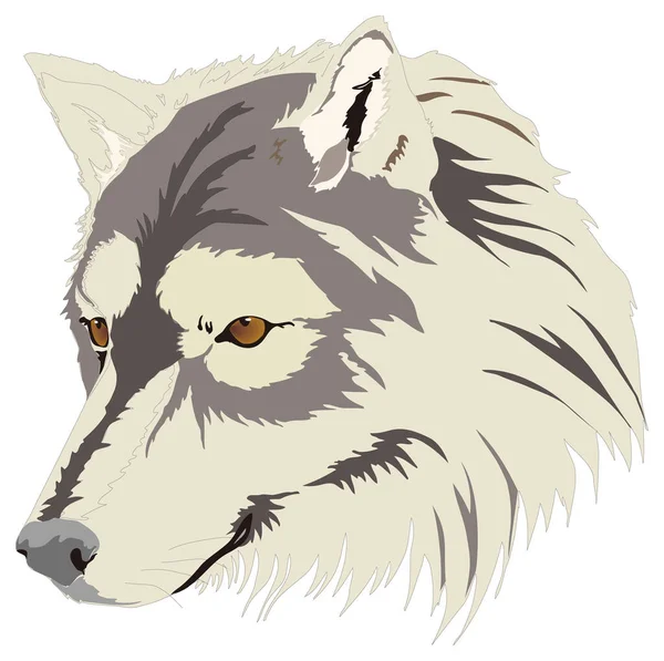 Wolf Gesicht Kopf Tier Vektor Illustration Transparent Hintergrund — Stockvektor