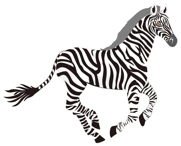 Zebra Ejecutar Animal Vector Ilustración Fondo Transparente — Archivo Imágenes Vectoriales