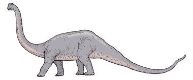 diplodocus Dinozor antik vektör çizimi şeffaf arkaplan