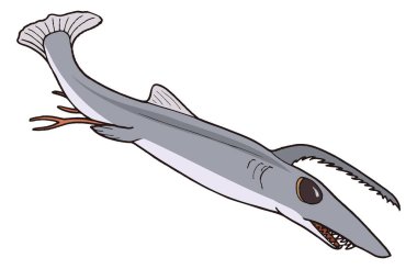 Falcatus balığı dinozor antik vektör çizimi şeffaf arkaplan