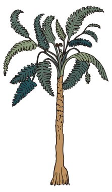 medullosa ağaç dinozoru antik vektör çizimi şeffaf arkaplan