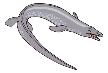 platecarpus dinozor eski vektör çizimi şeffaf arkaplan