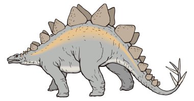 Stegosaurus yürüyen dinozor antik vektör çizimi şeffaf arkaplan