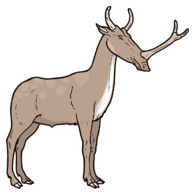 synthetoceras dinozor eski vektör illüstrasyonu şeffaf arkaplan