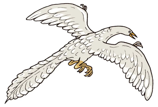 Archaeopteryx Dinosaurie Gamla Vektor Illustration Transparent Bakgrund — Stock vektor