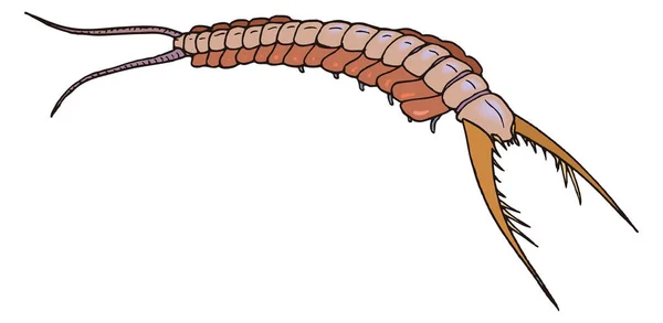 Artropoda Dinozaur Starożytny Wektor Ilustracja Przezroczyste Tło — Wektor stockowy