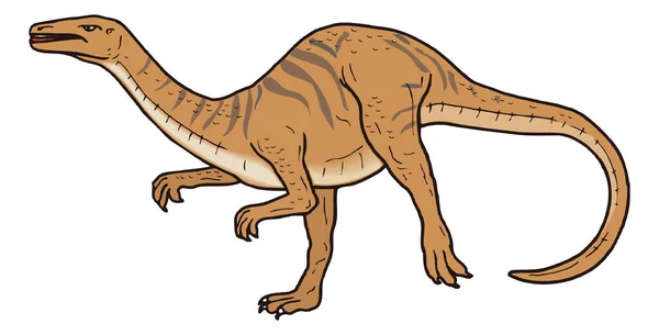 Coelophysis Dinosaurus Prastaré Vektorové Ilustrace Transparentní Pozadí — Stockový vektor