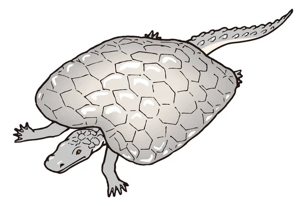Henodus Želva Krokodýl Dinosaurus Starověký Vektor Ilustrace Transparentní Pozadí — Stockový vektor