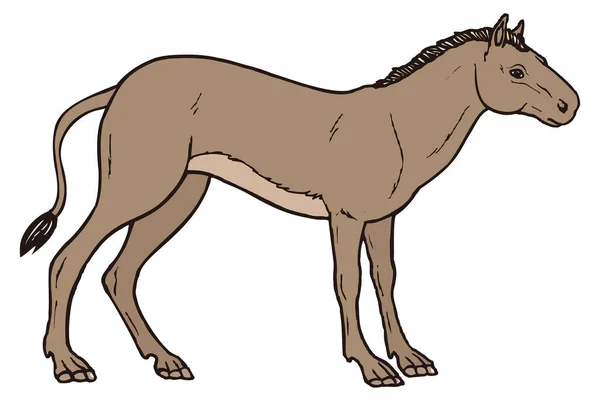 Hyracotherium Horse Dinosaur Ancient Vector Illustration Transparent Background — Stock Vector