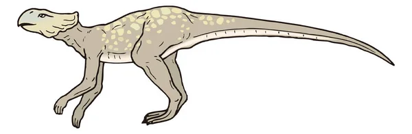 Microceratus Dinosaurie Antika Vektor Illustration Transparent Bakgrund — Stock vektor