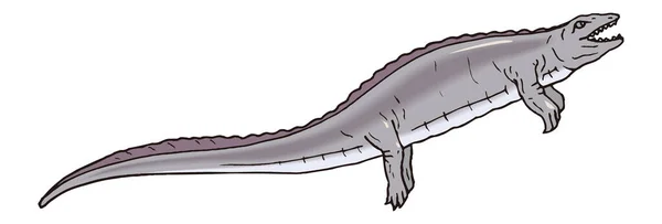 Placodus Dinosaurus Kuno Vektor Ilustrasi Latar Belakang Transparan - Stok Vektor