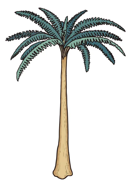 Psaronius Arbre Végétal Dinosaure Antique Vecteur Illustration Fond Transparent — Image vectorielle