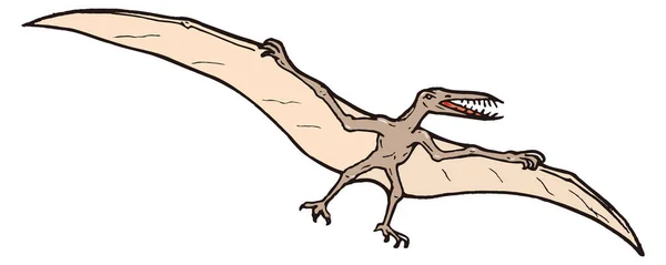 Rhamphorhynchus Vliegen Dinosaurus Oude Vector Illustratie Transparante Achtergrond — Stockvector