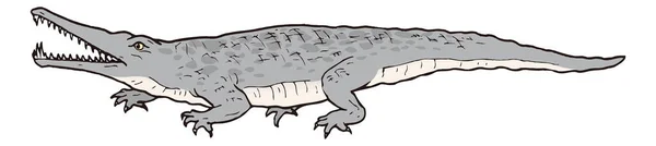 Rutiodon Crocodilo Dinossauro Vetor Antigo Ilustração Fundo Transparente — Vetor de Stock