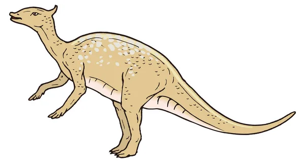 Sauropod Dinosaurus Kuno Vektor Ilustrasi Latar Belakang Transparan - Stok Vektor