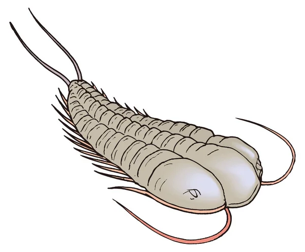 Trilobita Dinossauro Mar Antiga Ilustração Vetorial Fundo Transparente — Vetor de Stock