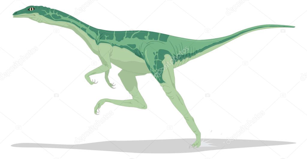 ornithomimus dinosaur ancient vector illustration transparent background