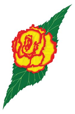 begonia flower vector illustration transparent background