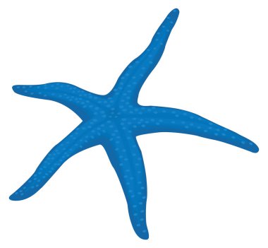 blue starfish vector illustration transparent background