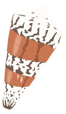 cone shell vector illustration transparent background