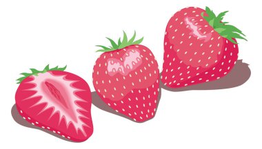 strawberry vector illustration transparent background