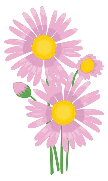 Aster Flower Vector Illustration Transparent Background — Διανυσματικό Αρχείο