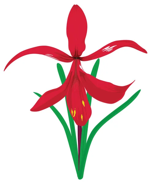 Aztec Blume Vektor Illustration Transparenten Hintergrund — Stockvektor