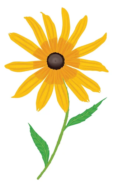 Blackeye Flower Vector Illustration Transparent Background — Διανυσματικό Αρχείο