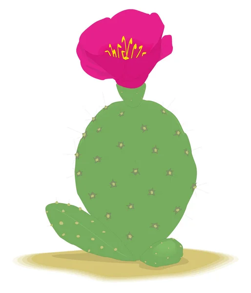 Cactus Flower Vector Illustration Transparent Background — ストックベクタ