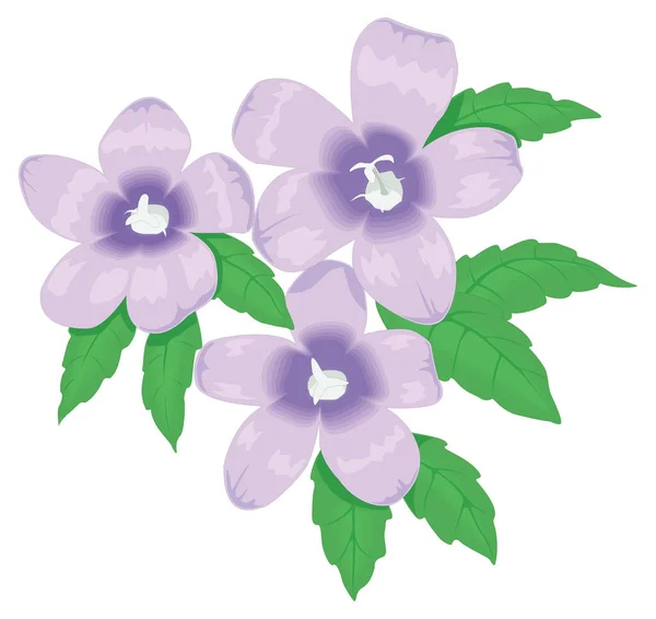 Campanula Bell Flower Vector Illustration Transparent Background — Διανυσματικό Αρχείο