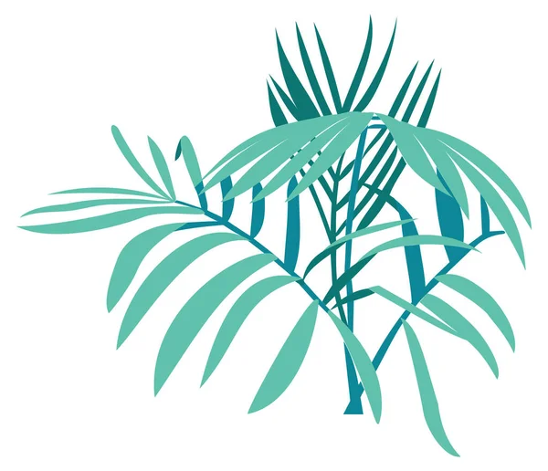 Paproć Palma Drzewo Wektor Ilustracja Przezroczyste Tło — Wektor stockowy