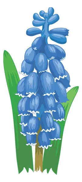 Graphe Blume Vektor Illustration Transparenten Hintergrund — Stockvektor