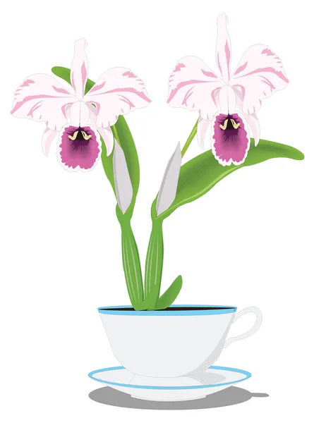 Lila Orchidee Blume Vektor Illustration Transparenten Hintergrund — Stockvektor