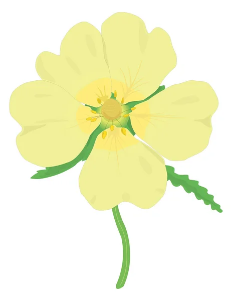 Rough Flower Vector Illustration Transparent Background — Διανυσματικό Αρχείο