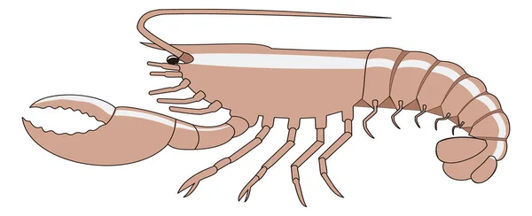 Brown Lobster Vector Illustration Transparent Background - Stok Vektor