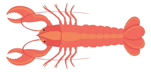 Red Lobster Vector Illustration Transparent Background - Stok Vektor