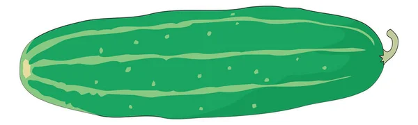 Cucumber Vector Illustration Transparent Background — Stok Vektör