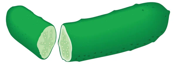 Green Cucumber Vector Illustration Transparent Background — Stockvector
