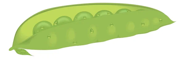 Green Peapood Vector Illustration Transparent Background — Stockvector