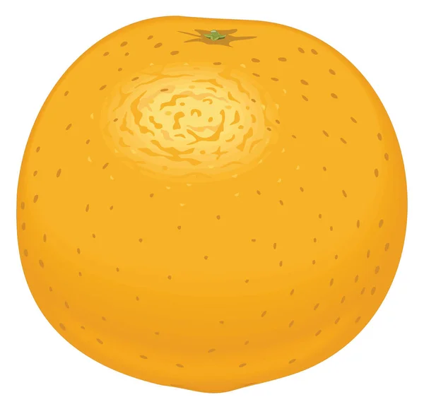 Orange Lemon Vector Illustration Transparent Background — Stockvector