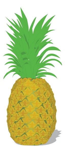 Pineapple Vector Illustration Transparent Background — Stockvector